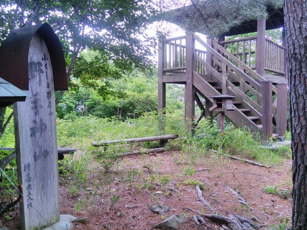 野手上山