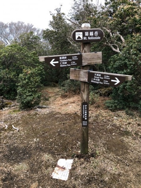 猫越岳