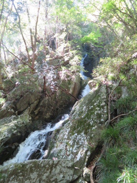花園山 奥ノ院峰
