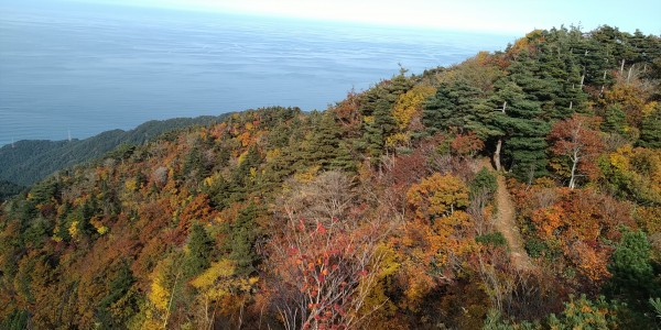 大鷲山