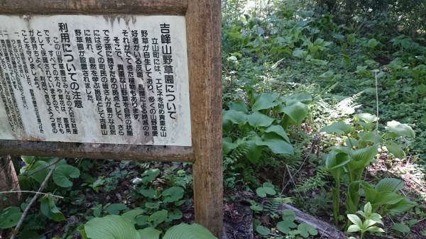 吉峰山