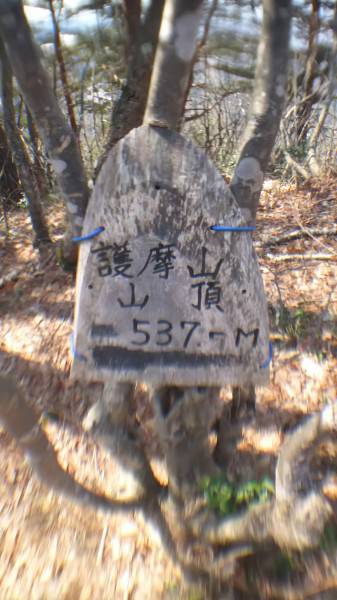 千歳山