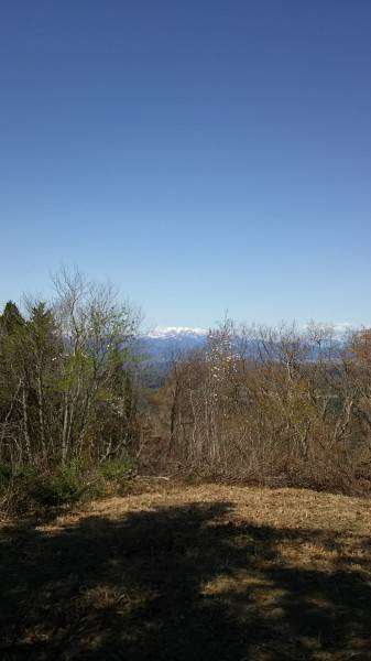 東黒森山