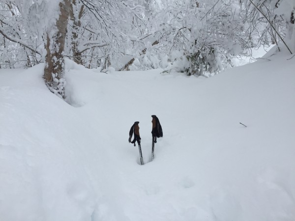 鶏頭山