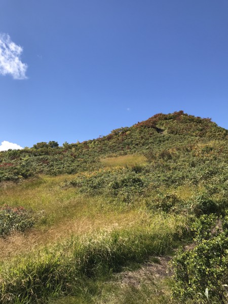 葉山