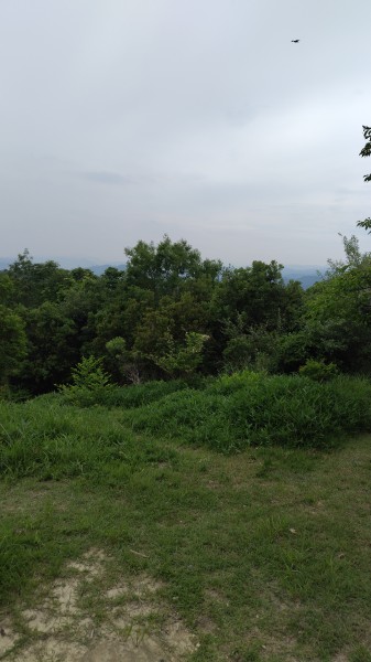 龍ノ口山