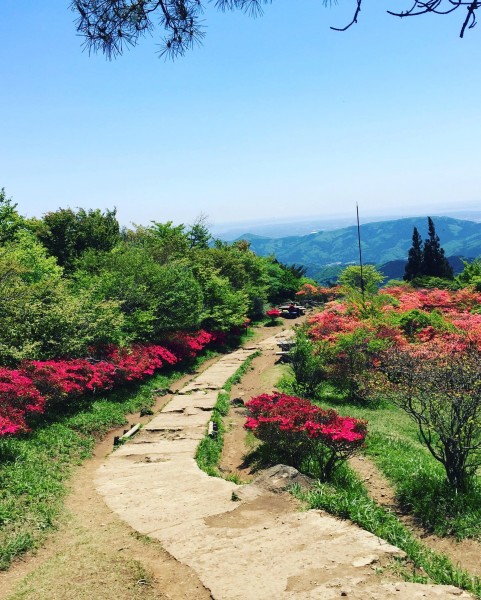 筑波山