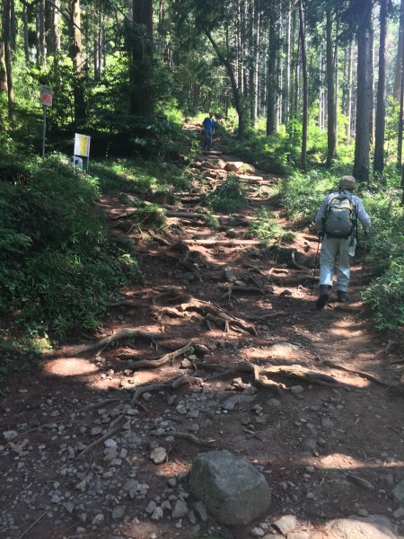 筑波山