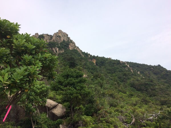 右田ヶ岳