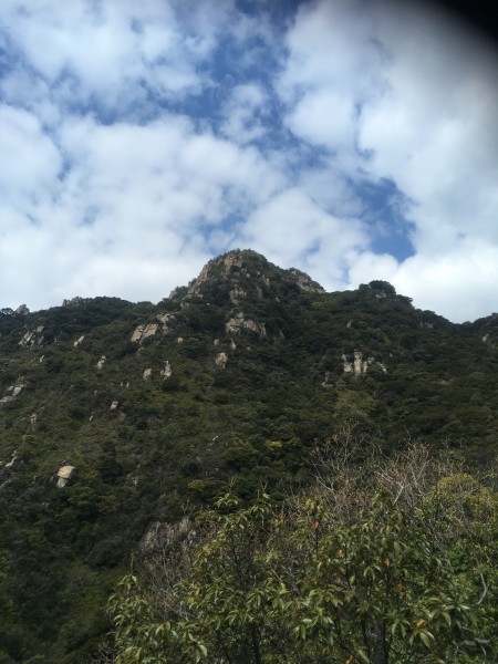 右田ヶ岳