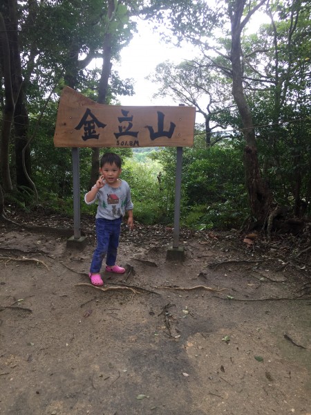 金立山