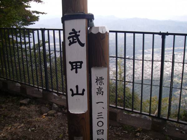 一の鳥居から、丁目石を数えながらのんびりと登っていけます。
途中の大杉広場は、杉の巨木に癒されます。