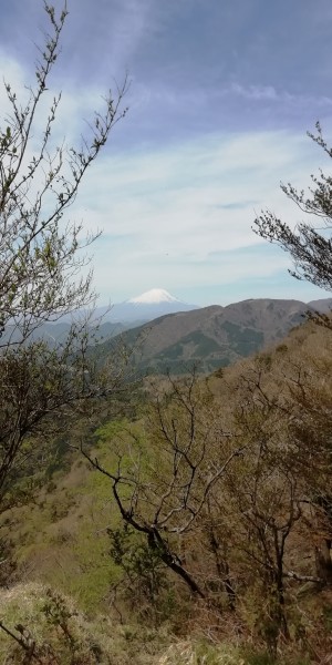 大山