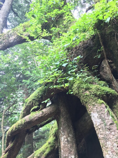 大山