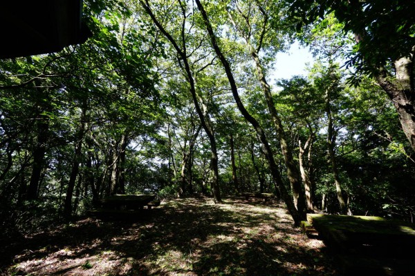 本宮山