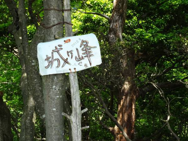 猿投山