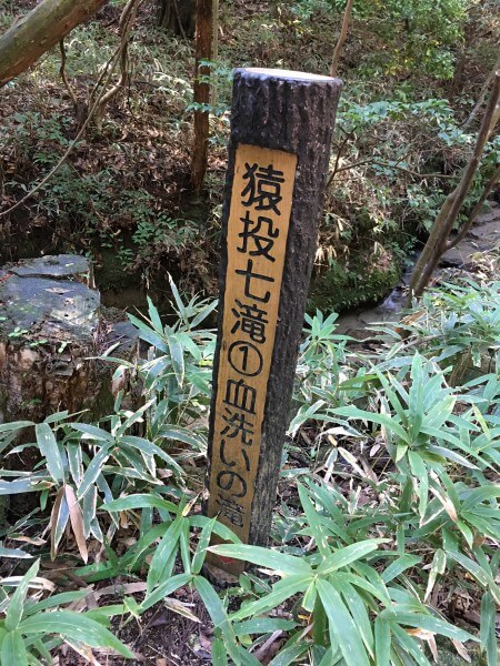 猿投山