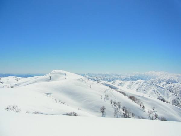 金剛堂山
