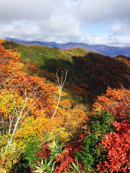 鷲ヶ岳