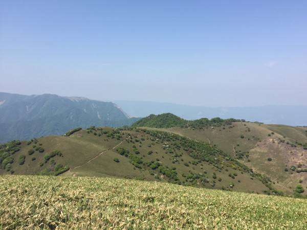 竜ヶ岳