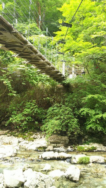 大台ヶ原山