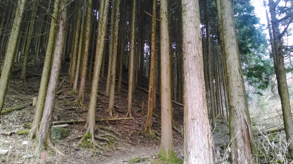 妙見山