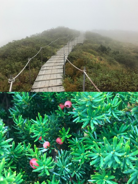 大山