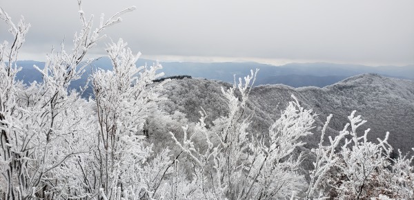 国見山