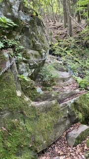 犬ヶ岳