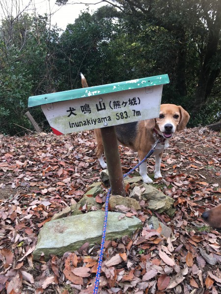 犬鳴山