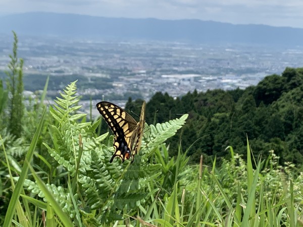 基山
