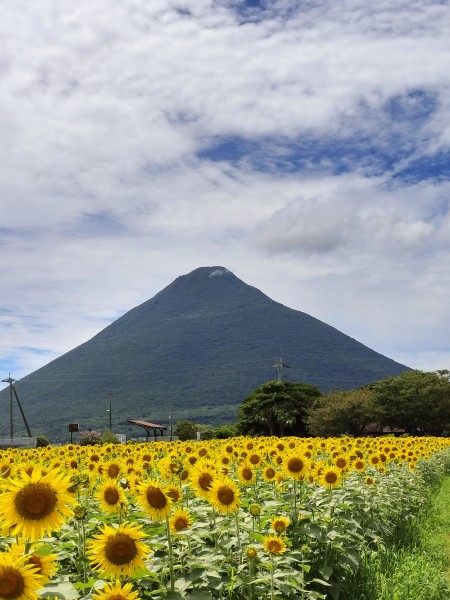 開聞岳